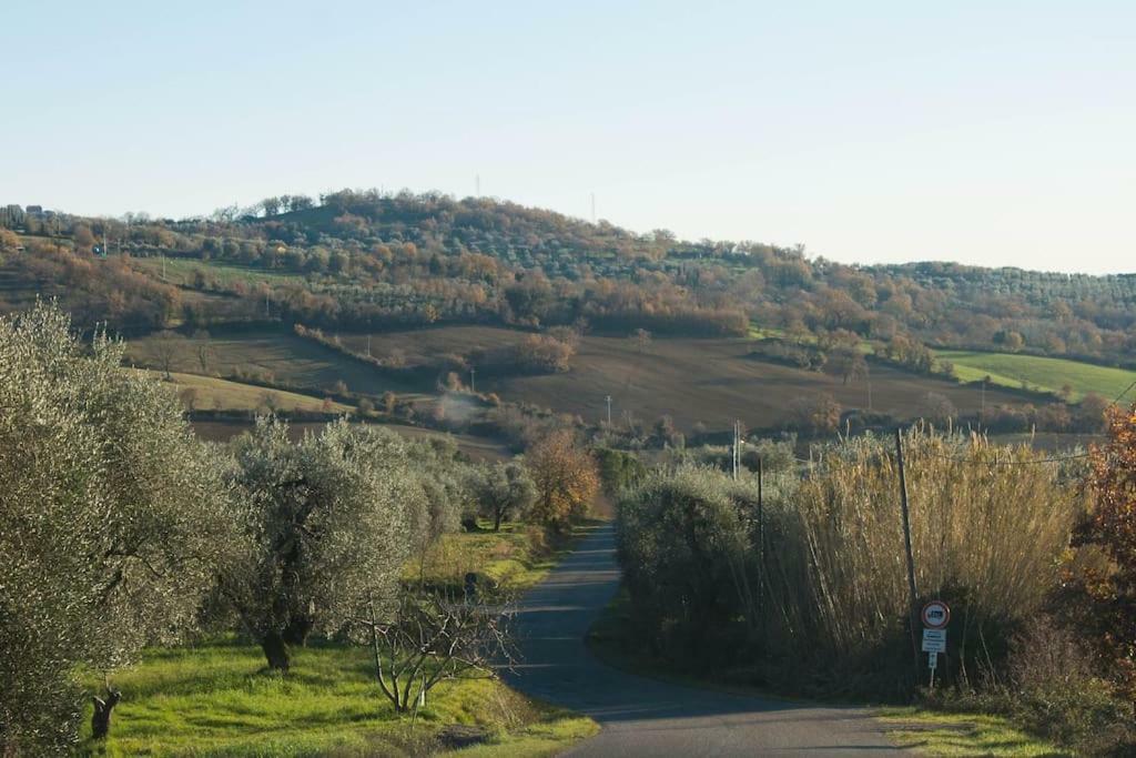 Le Casette Country House 2 Petricci ภายนอก รูปภาพ
